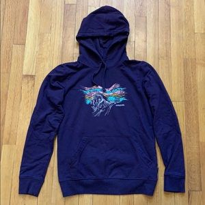 Patagonia hoodie